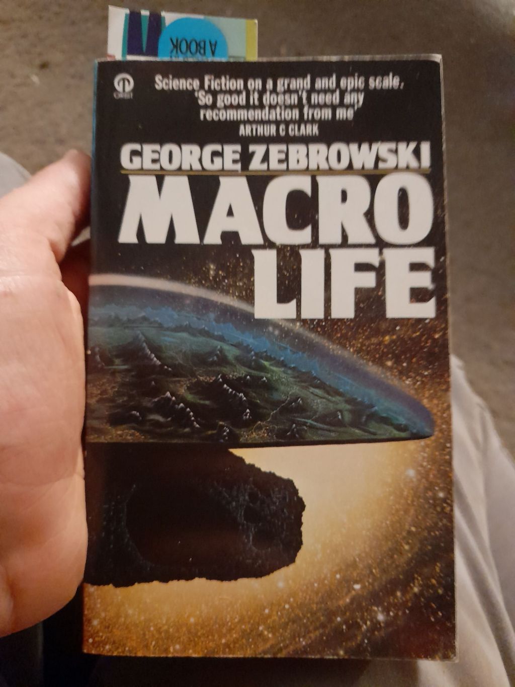 Vintage Classics, Modern&nbsp;Struggles