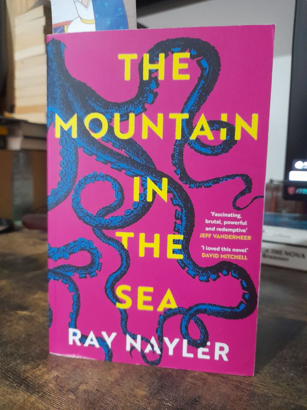 BOOK REVIEW: The Mountain in the Sea, by Ray&nbsp;Nayler